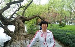 上海网吧门视频